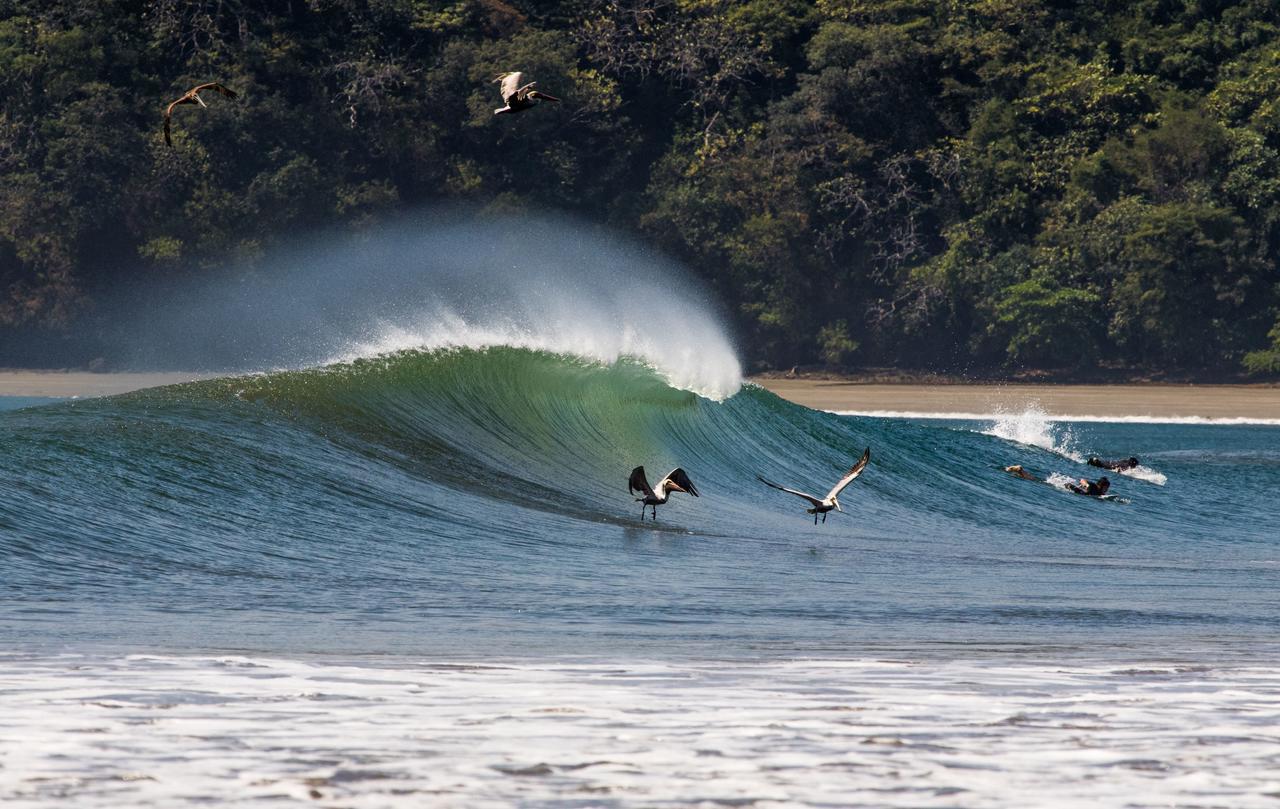 Beach Break Hotel & Surf Camp De Playa Venao Eksteriør billede